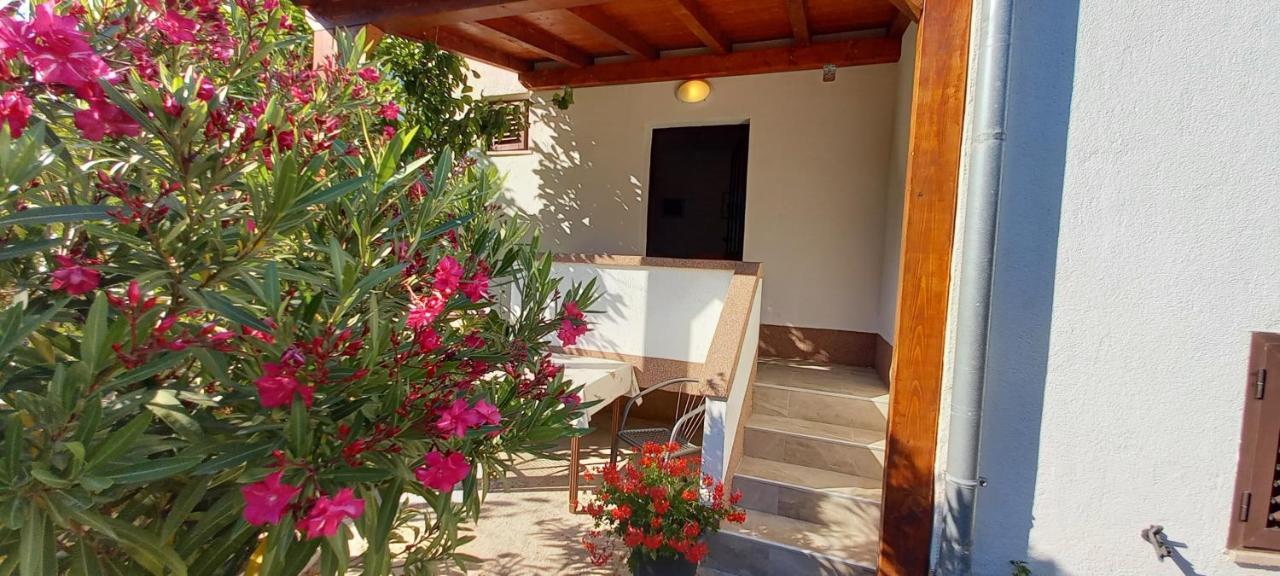 Eco Secluded Apartments Zabodarski Čunski エクステリア 写真