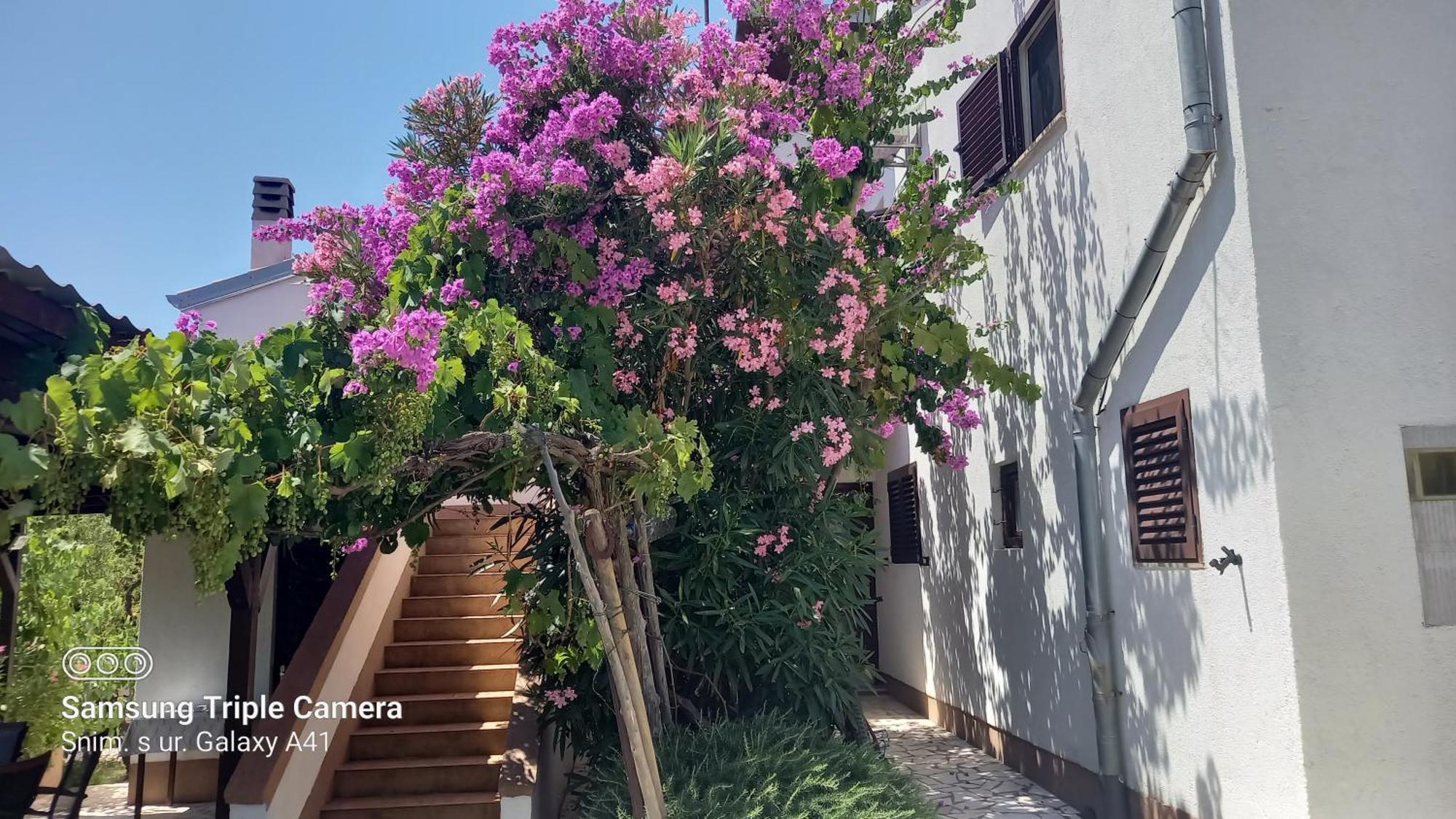 Eco Secluded Apartments Zabodarski Čunski エクステリア 写真