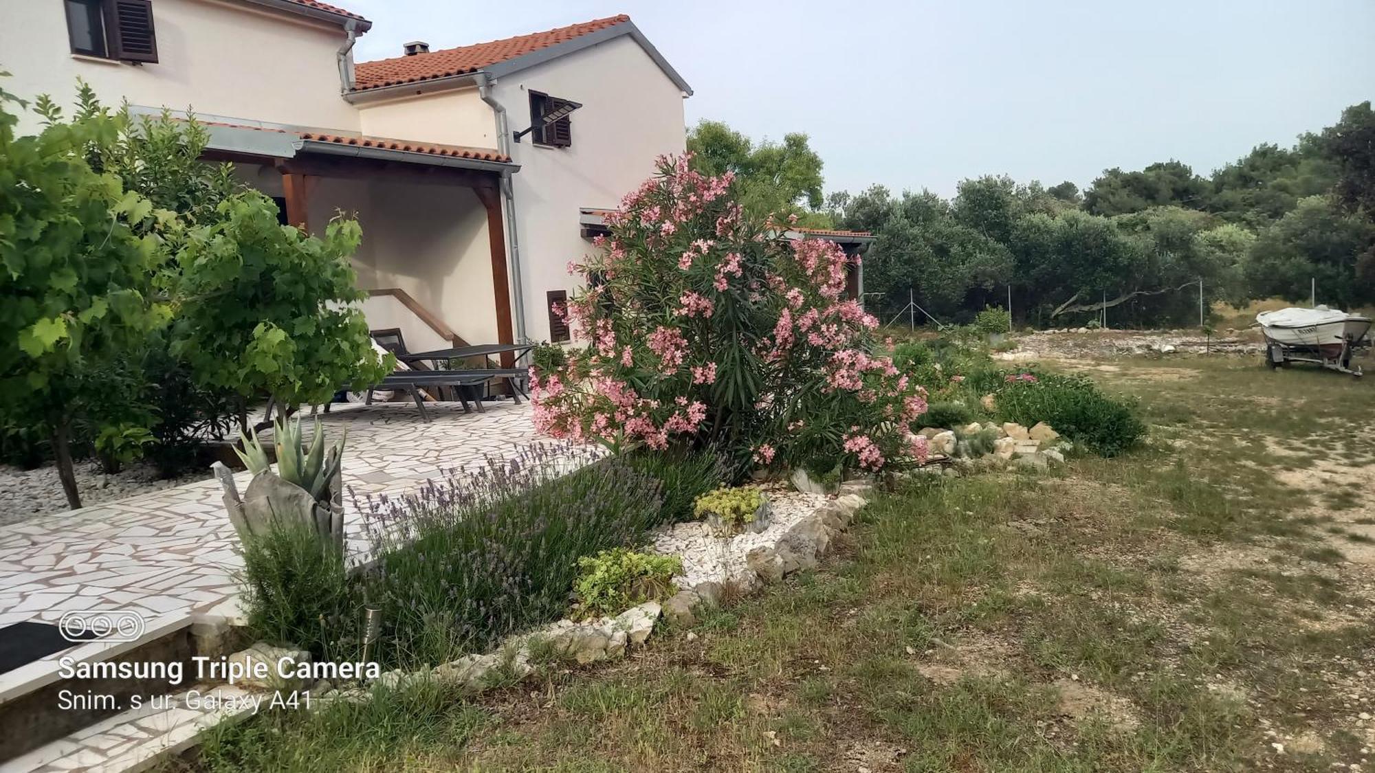 Eco Secluded Apartments Zabodarski Čunski エクステリア 写真