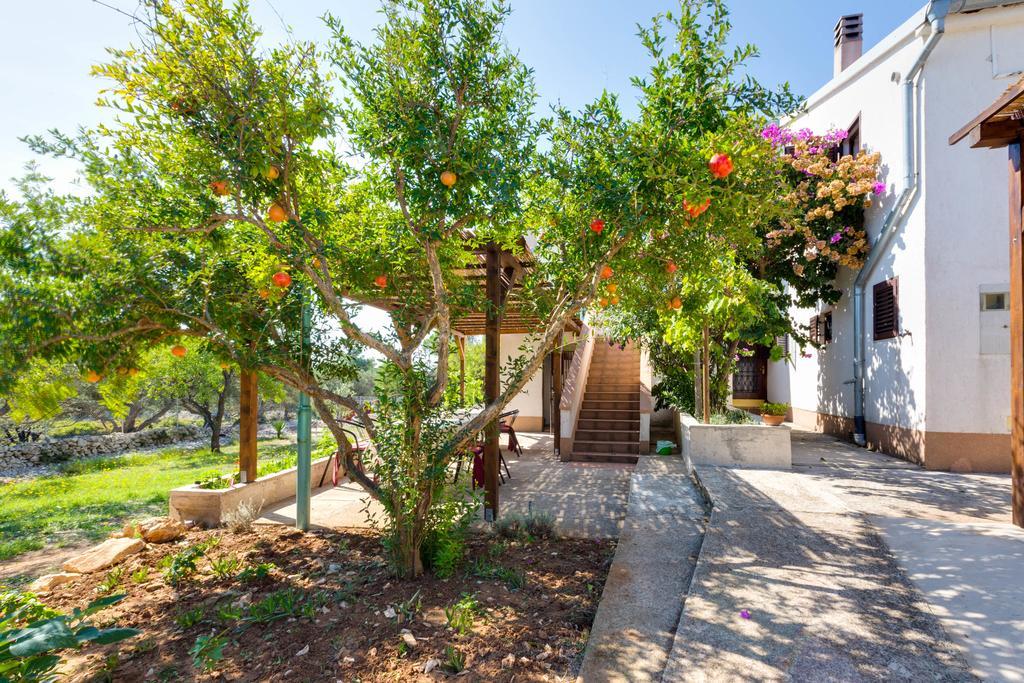 Eco Secluded Apartments Zabodarski Čunski エクステリア 写真