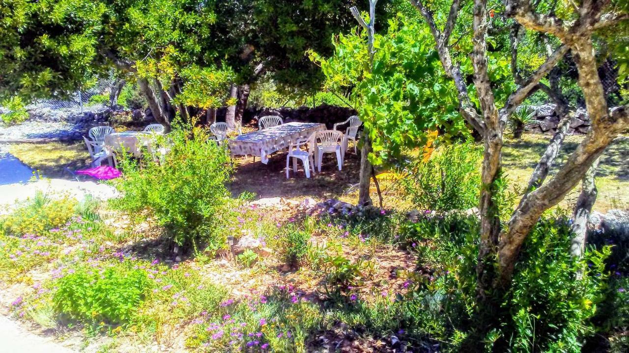 Eco Secluded Apartments Zabodarski Čunski エクステリア 写真